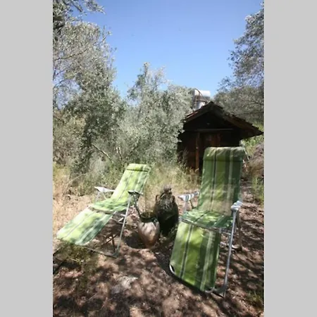 Private Stone Cottage In The Forest. Antalya
